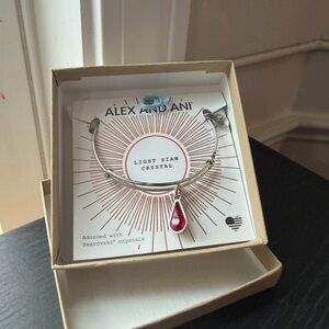Alex and Ani Red Crystal Charm Bracelet NWT